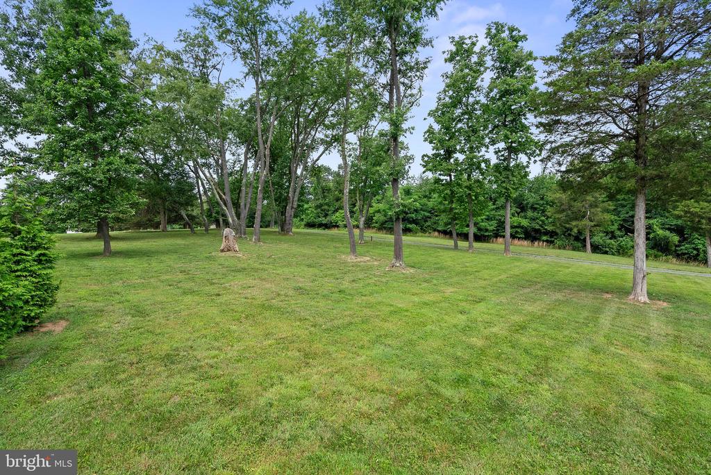 267 SHENANDOAH RIVER LANE