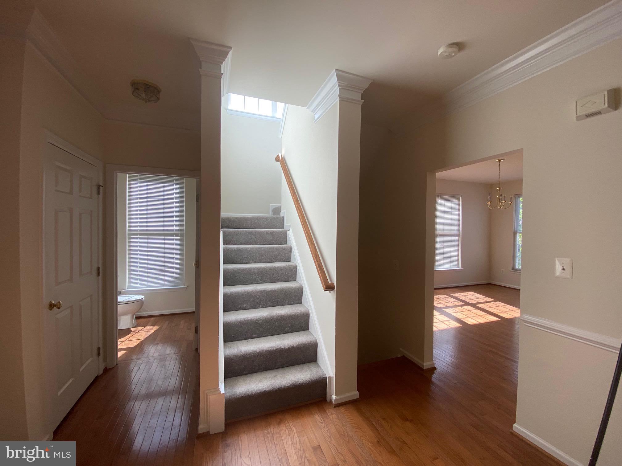 130 Ivy Hills TERRACE