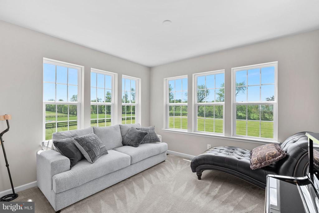 14329 Amys Meadow Ct