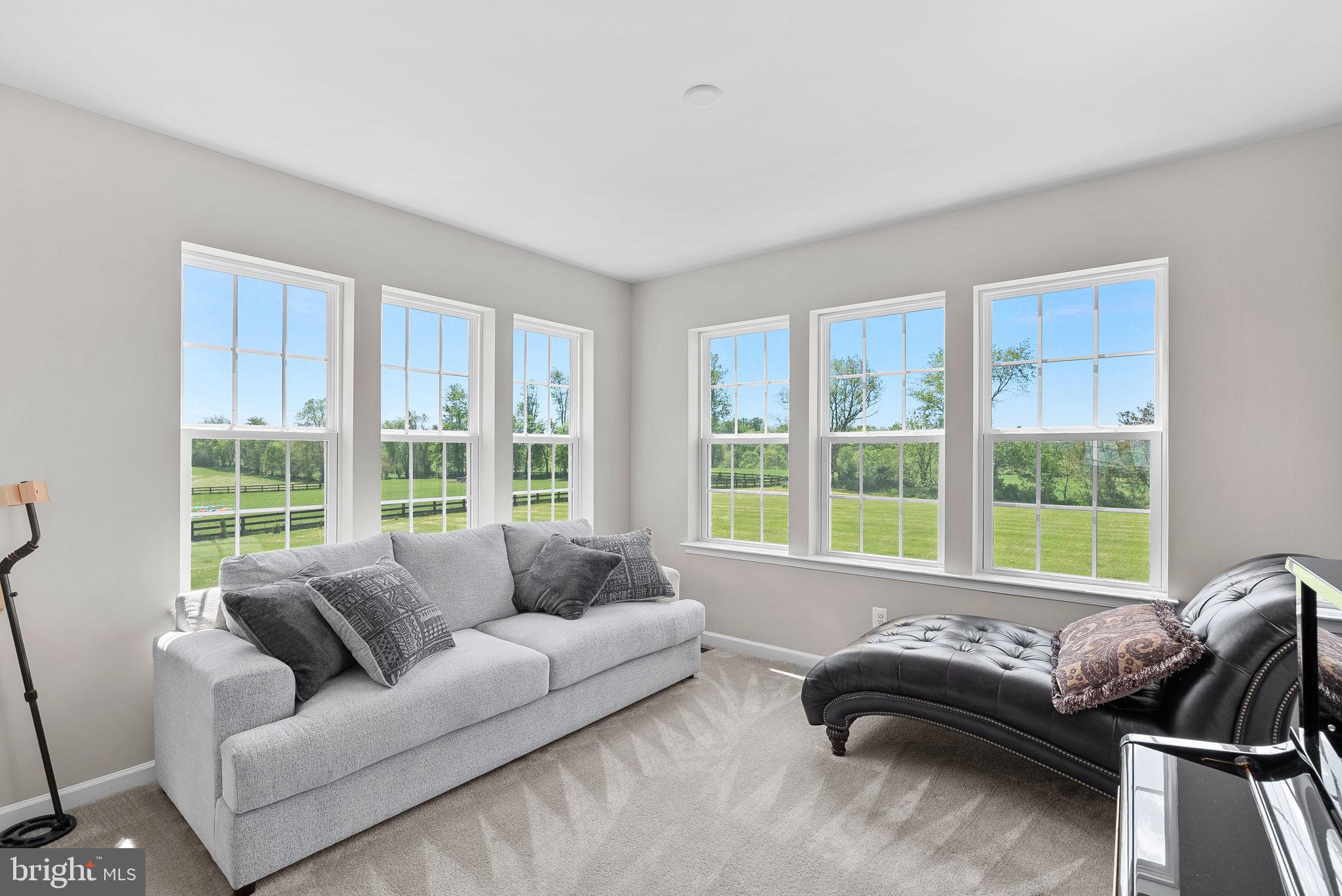 14329 Amys Meadow Ct