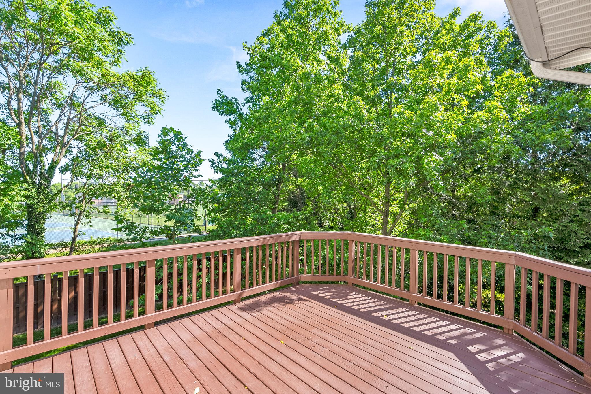 218 MISTY POND TER