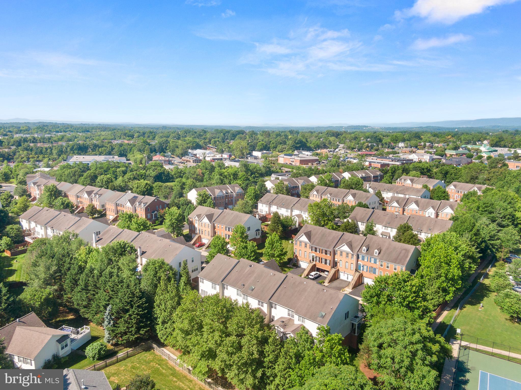 218 MISTY POND TER