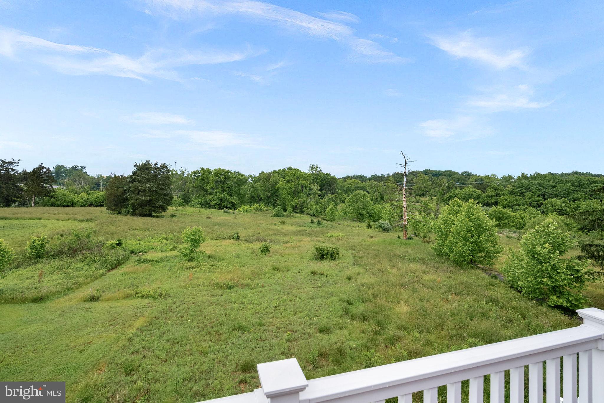 19253 Running Spring Ct