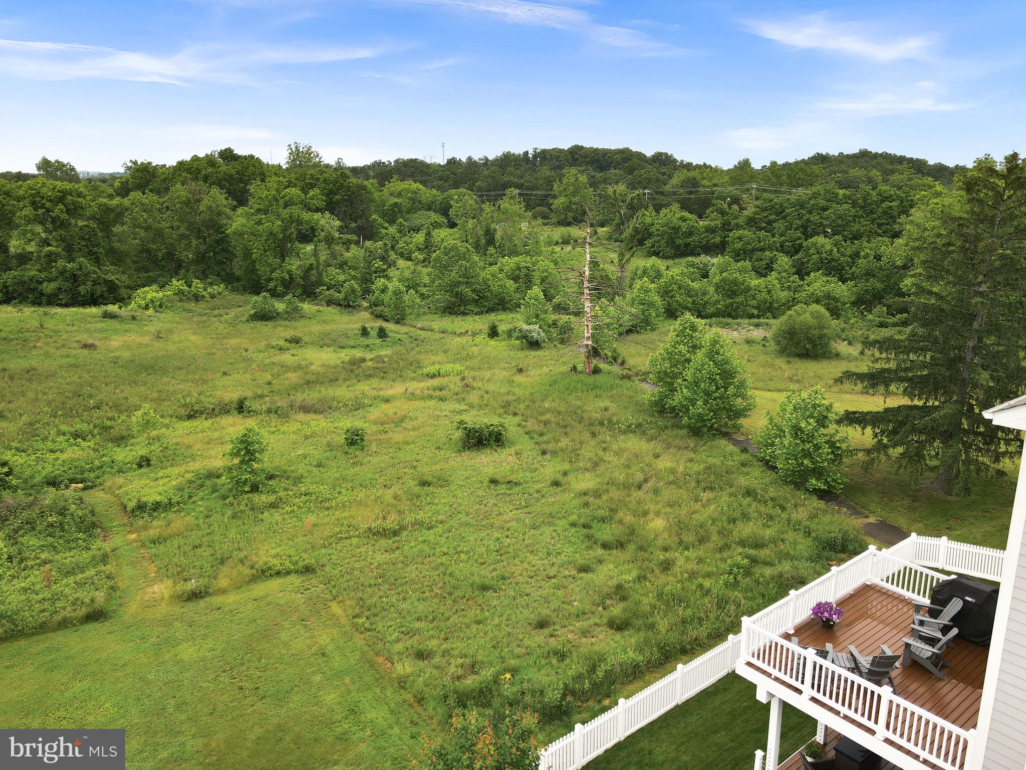 19253 Running Spring Ct