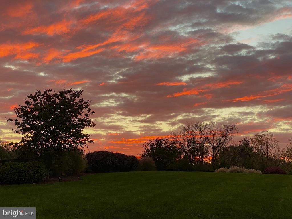 22415 Conservancy Dr