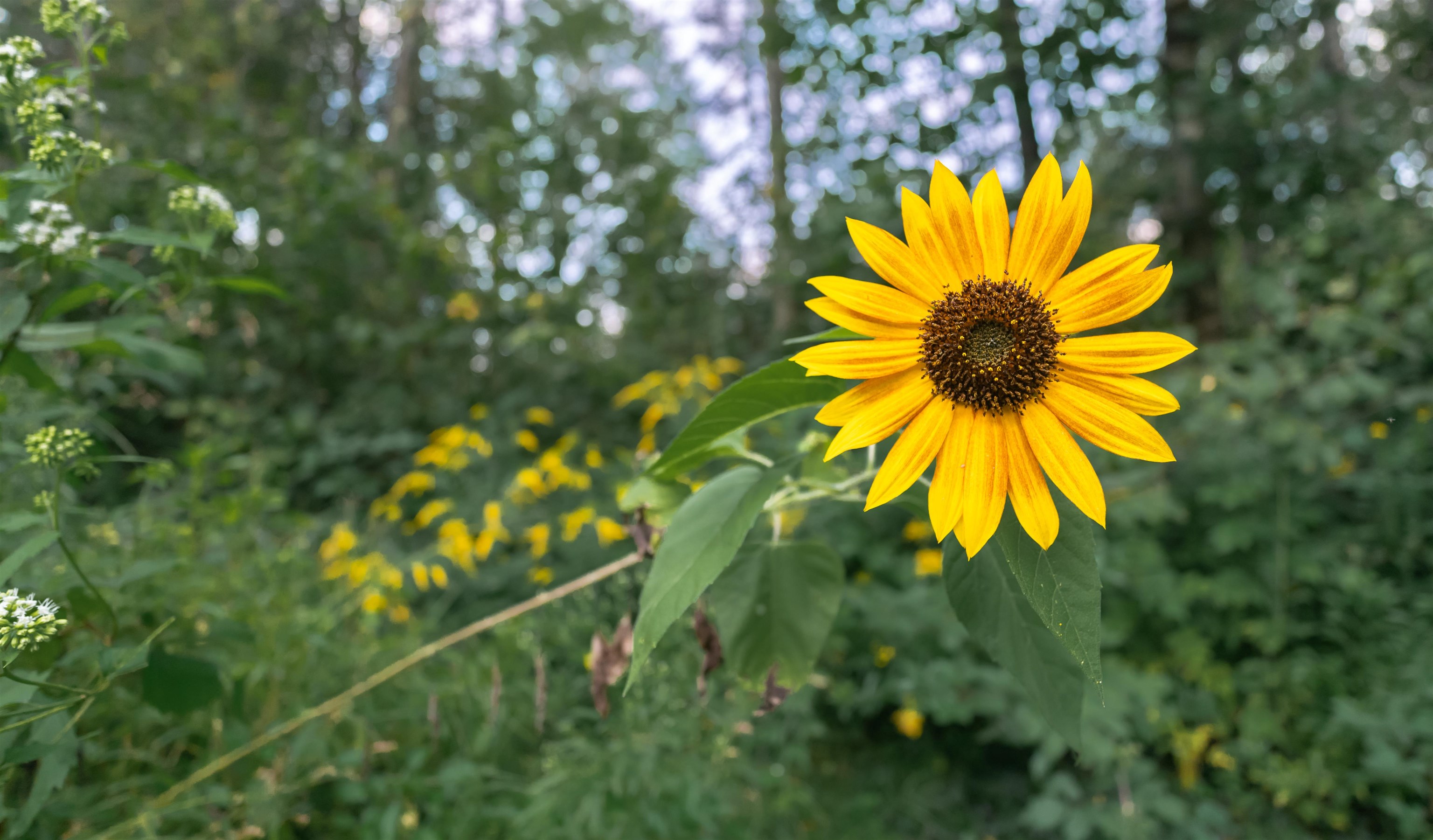 405 Washington Pond Road