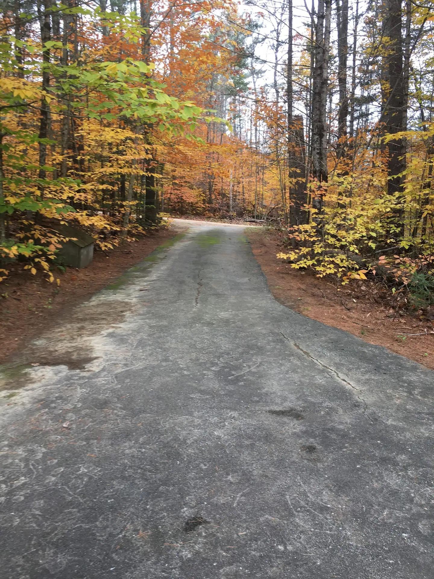 50 Partridge Knoll Road