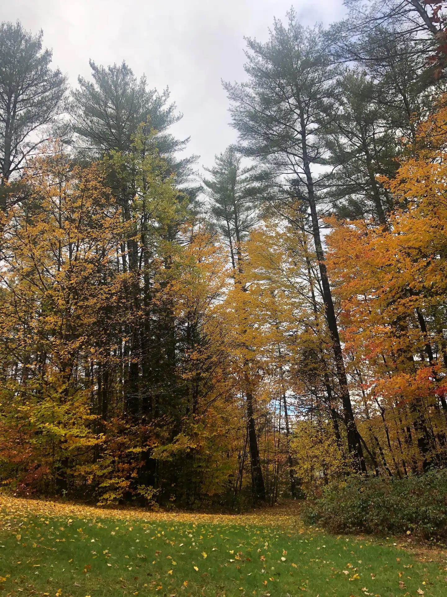 50 Partridge Knoll Road