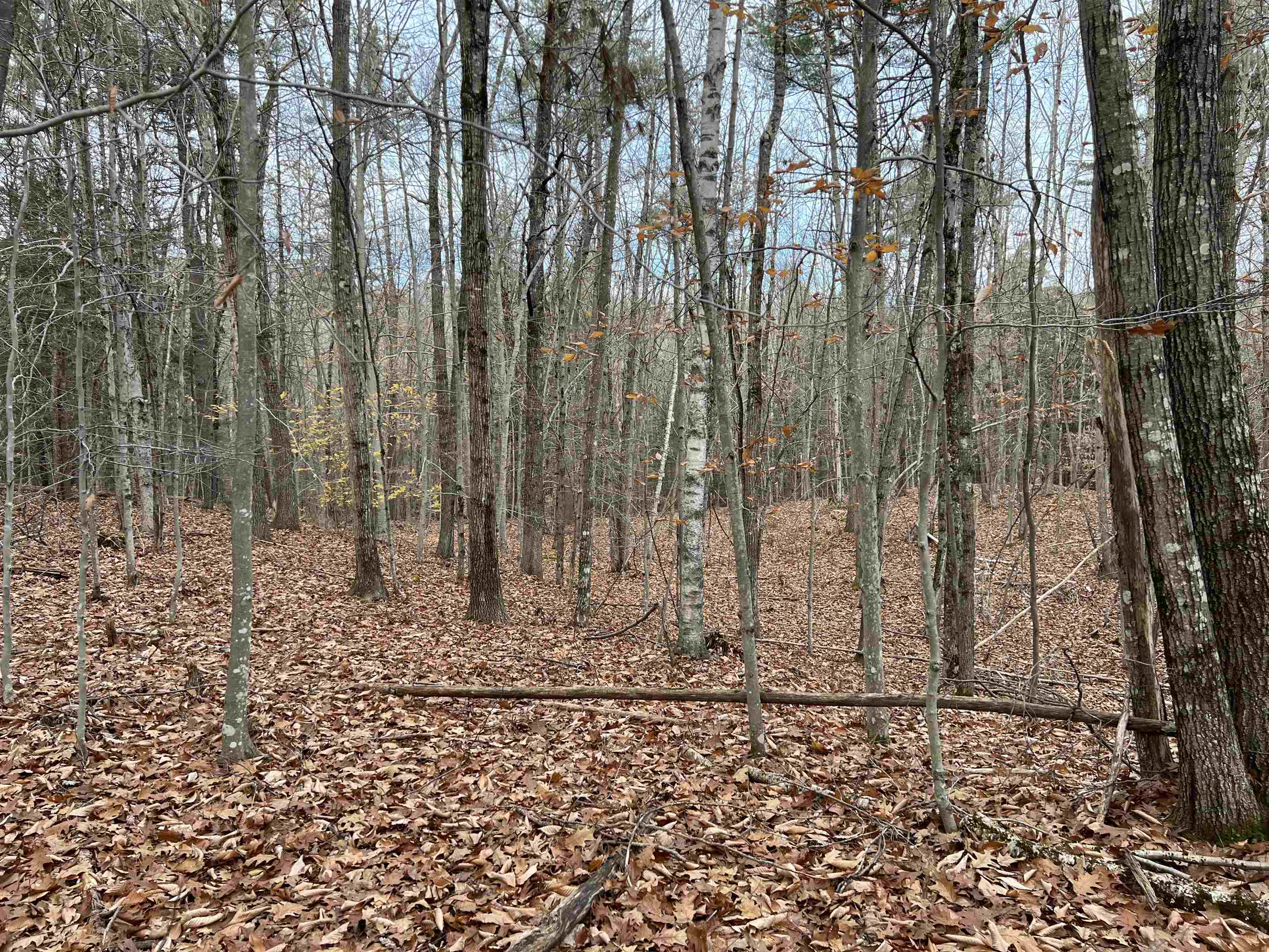 Lot 7-50B Fisk Lane Unit: 7-50B