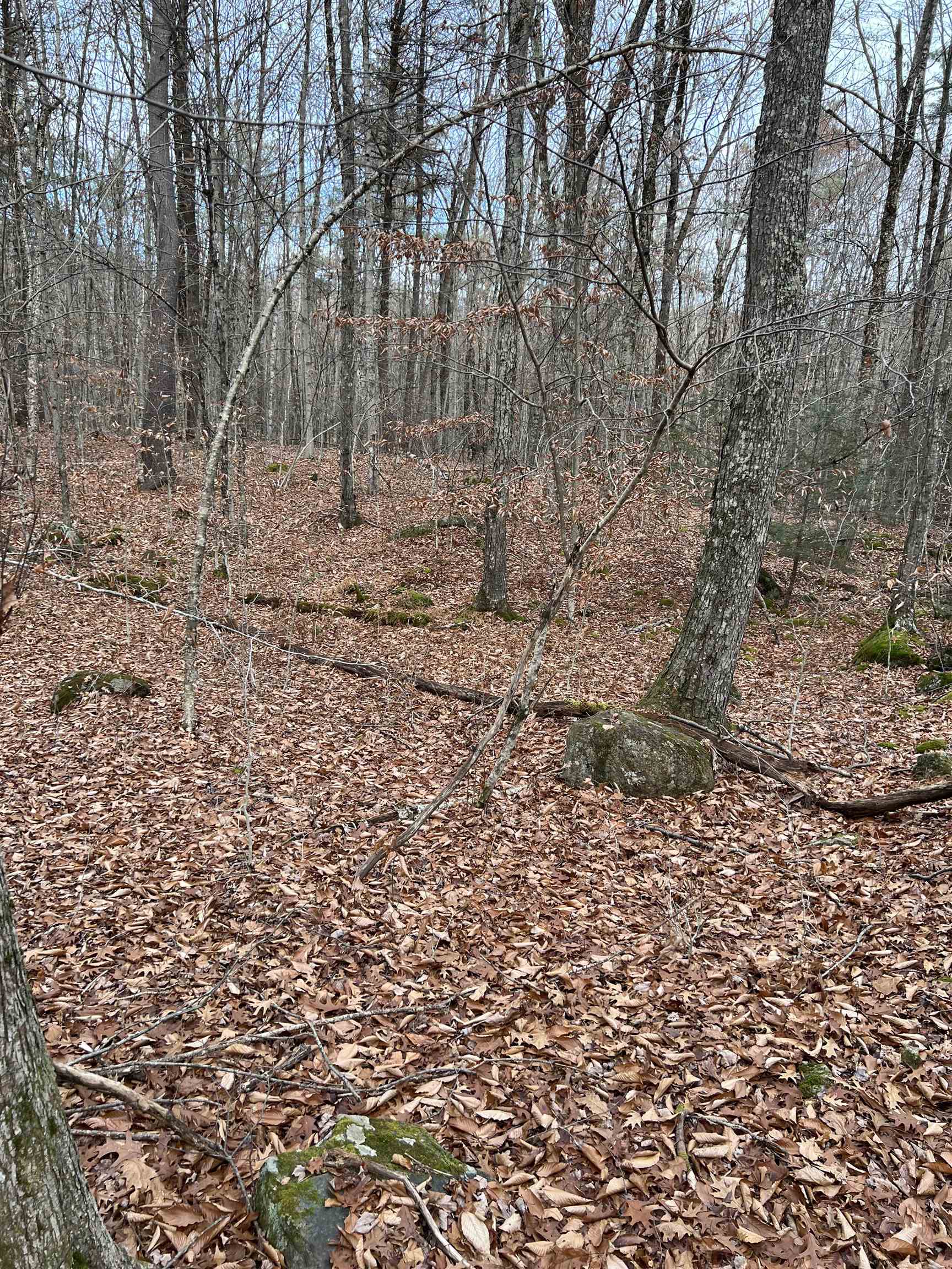 Lot 7-50B Fisk Lane Unit: 7-50B