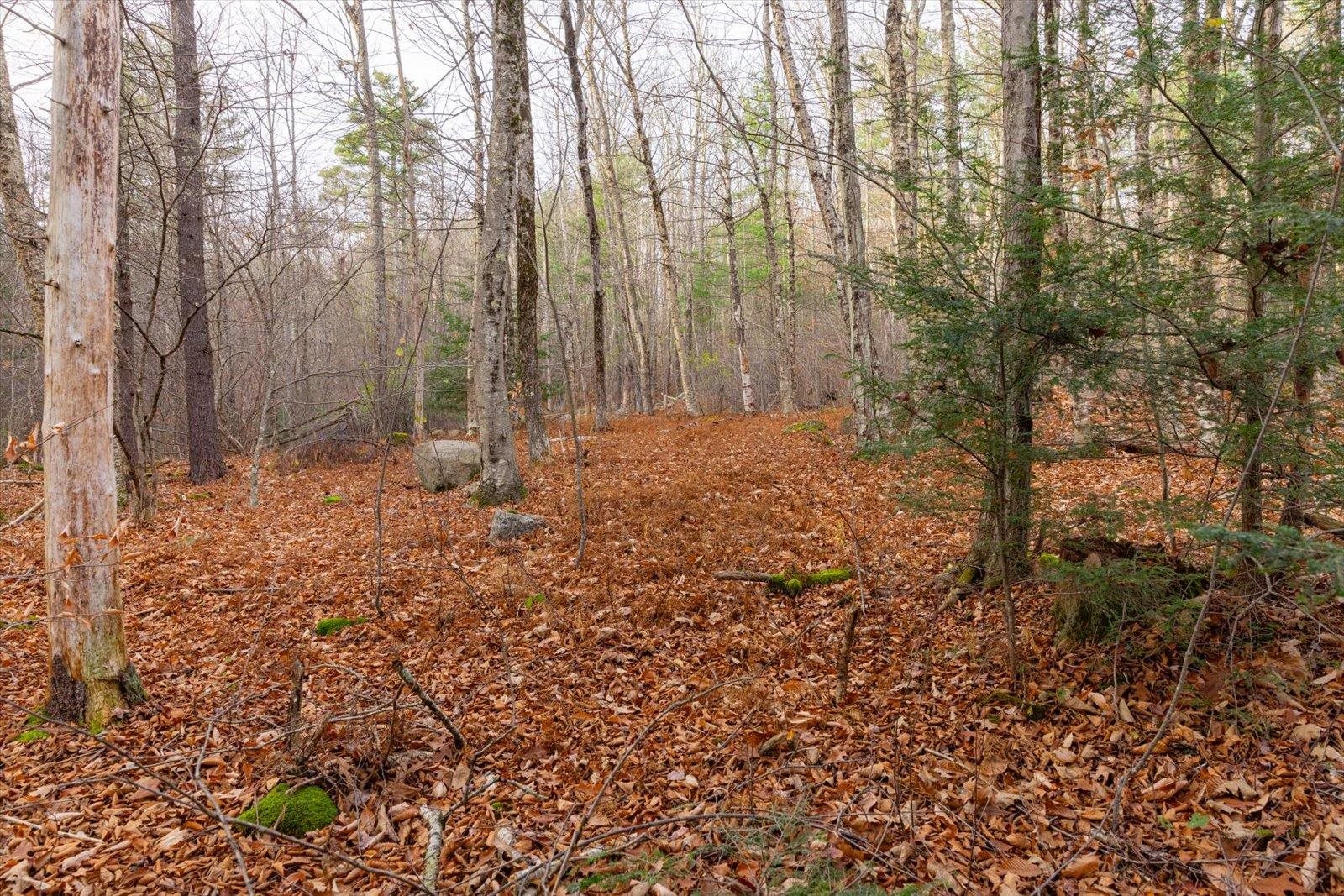 Lot 7-50B Fisk Lane Unit: 7-50B