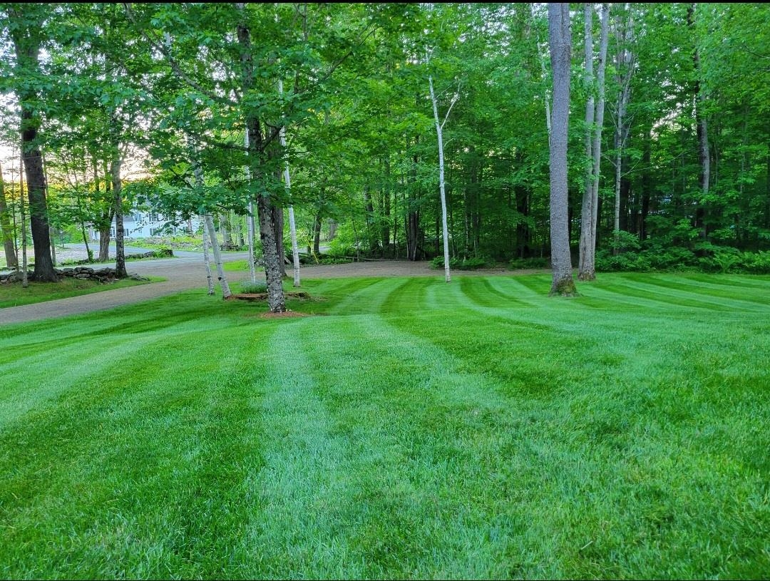 103 Old Settlers Road