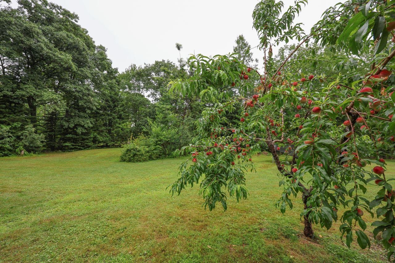 354 Fitzwilliam Road