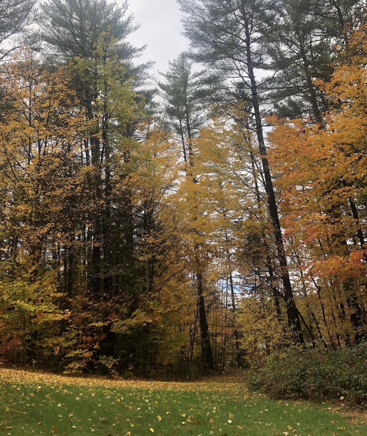 50 Partridge Knoll Road