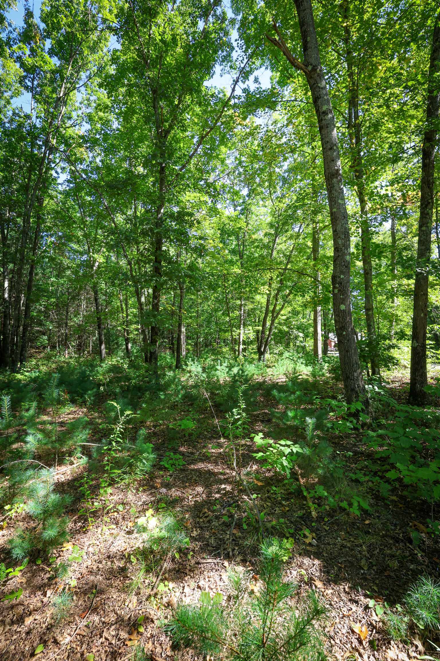 0 Garvins Falls Road