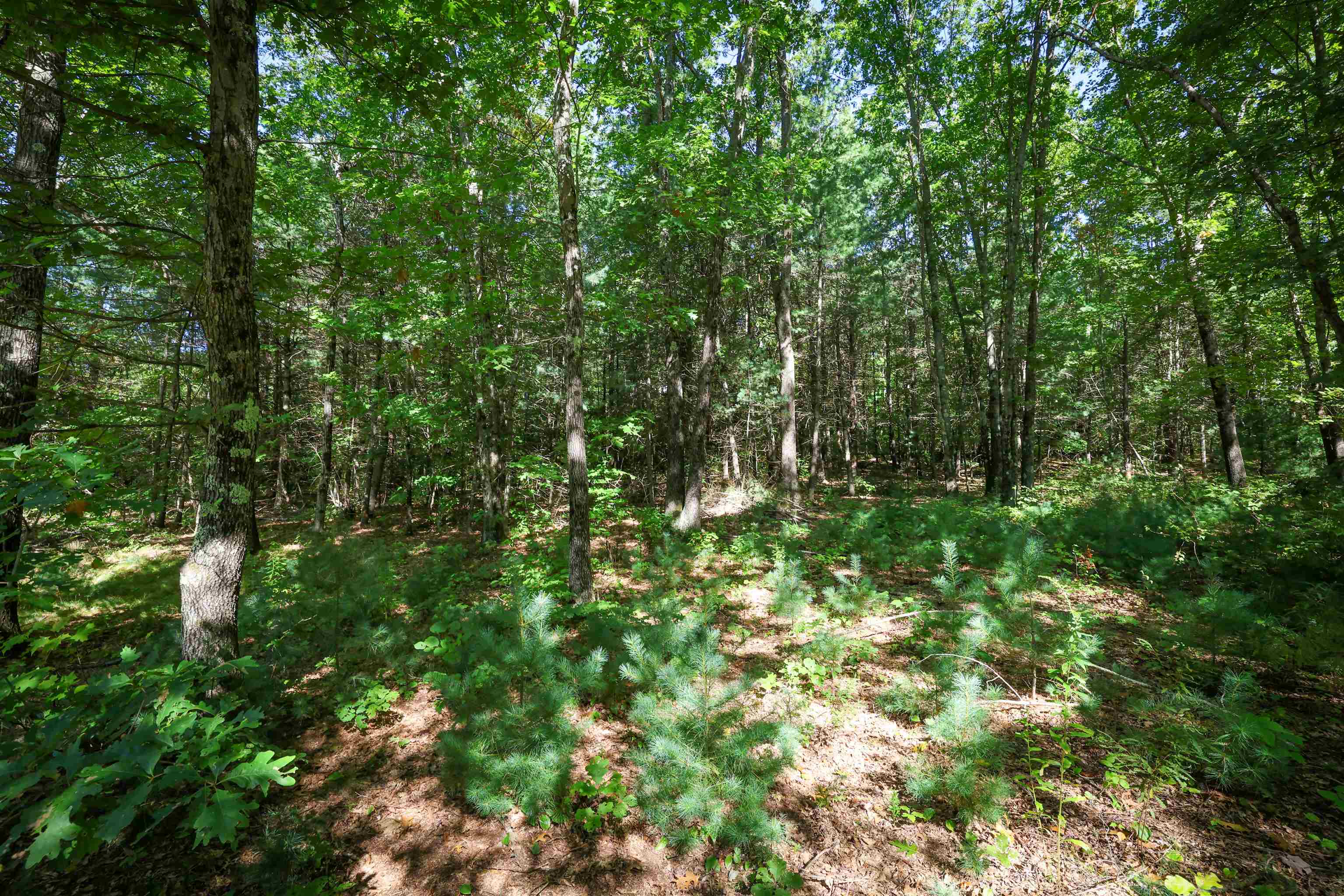 0 Garvins Falls Road