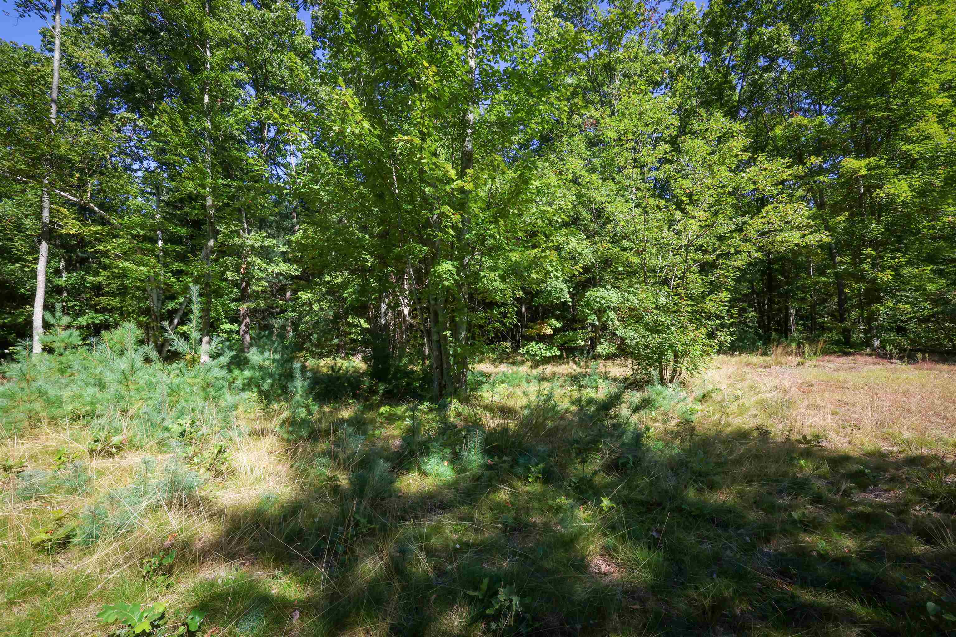 0 Garvins Falls Road