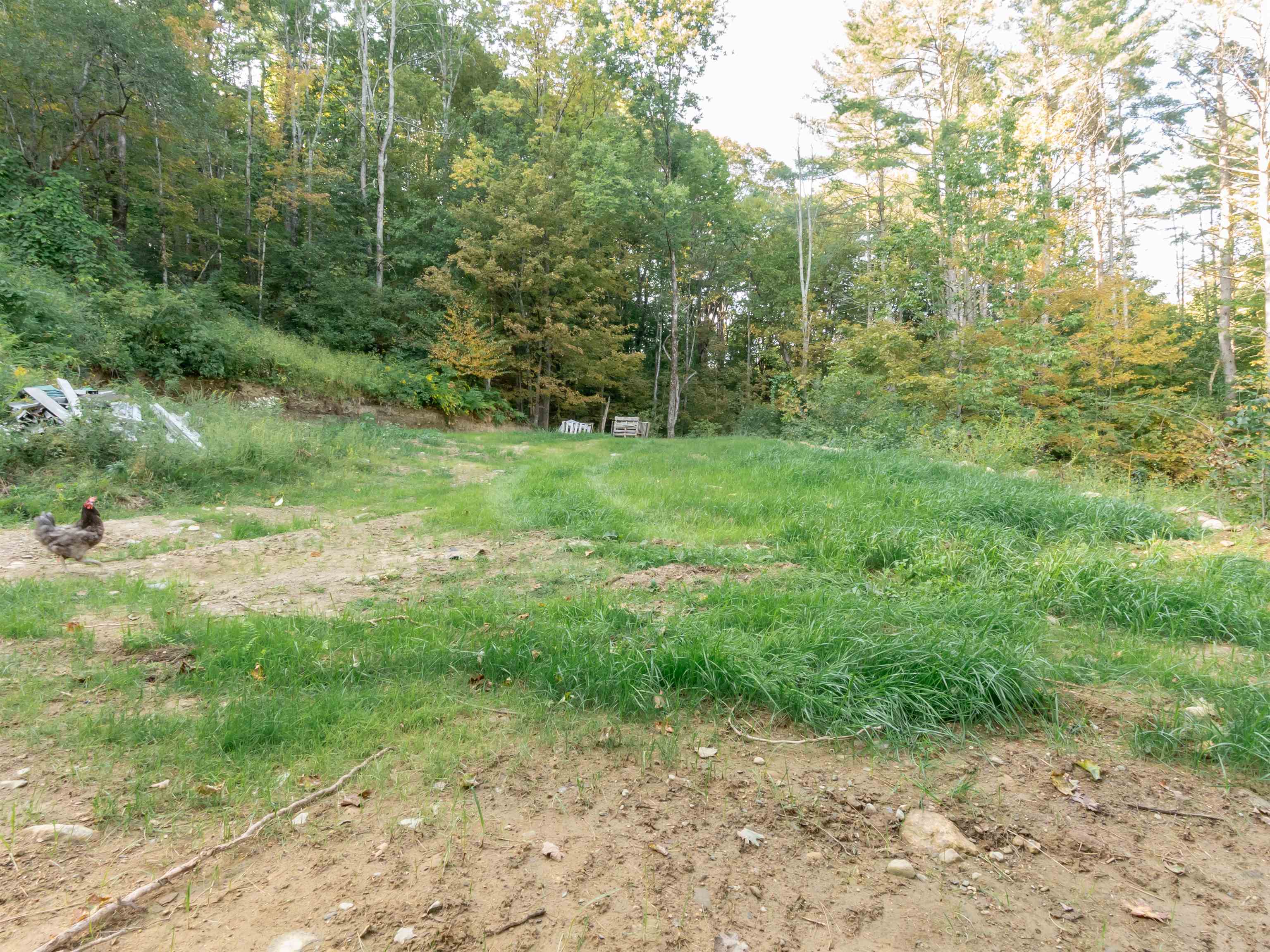 231 Chesterfield Road