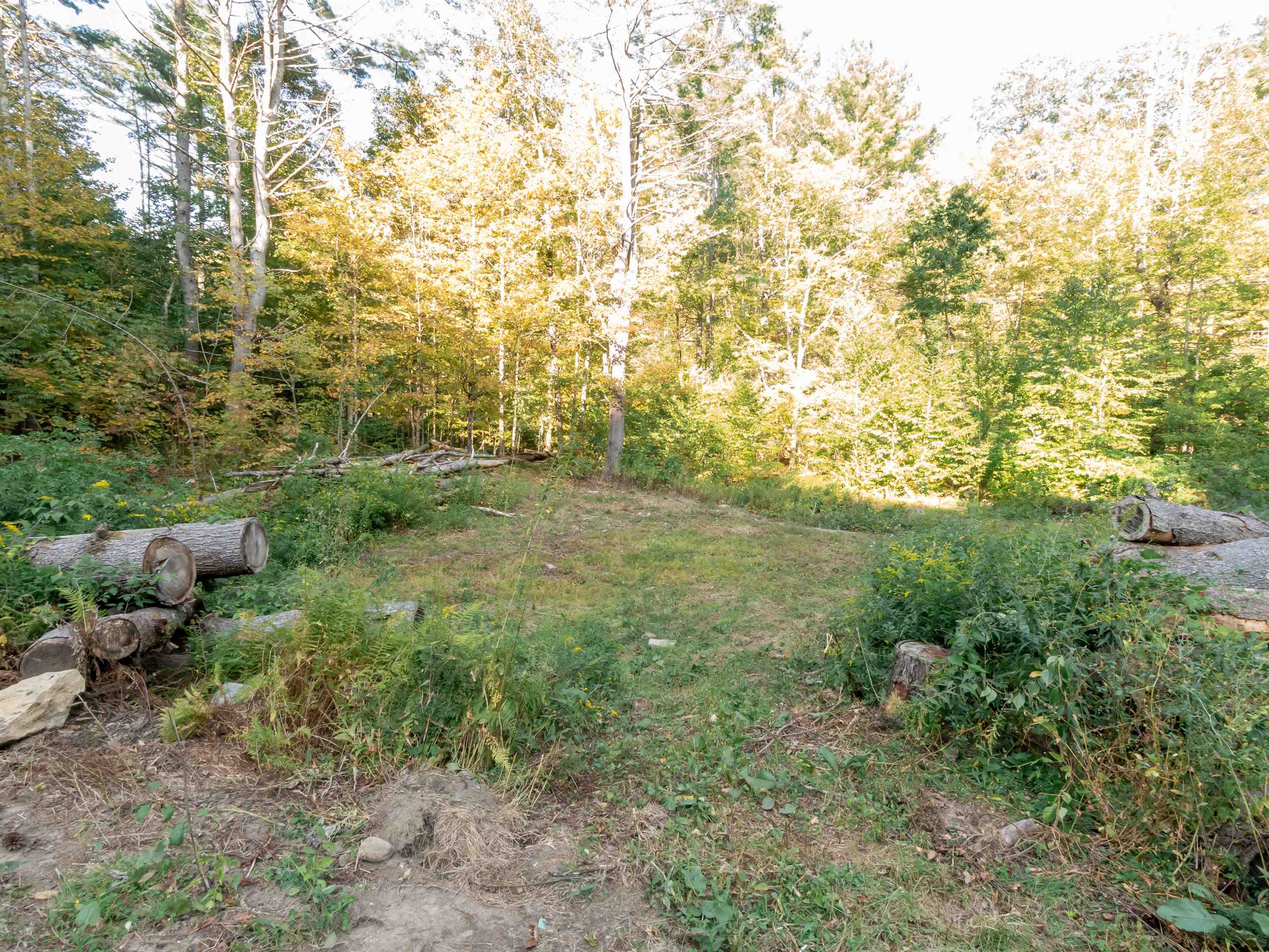 231 Chesterfield Road