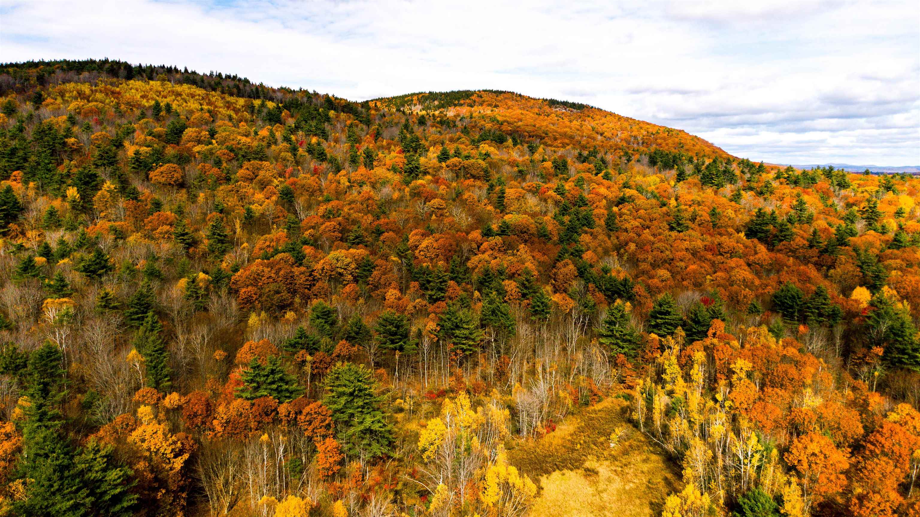 000 Willard Pond Road