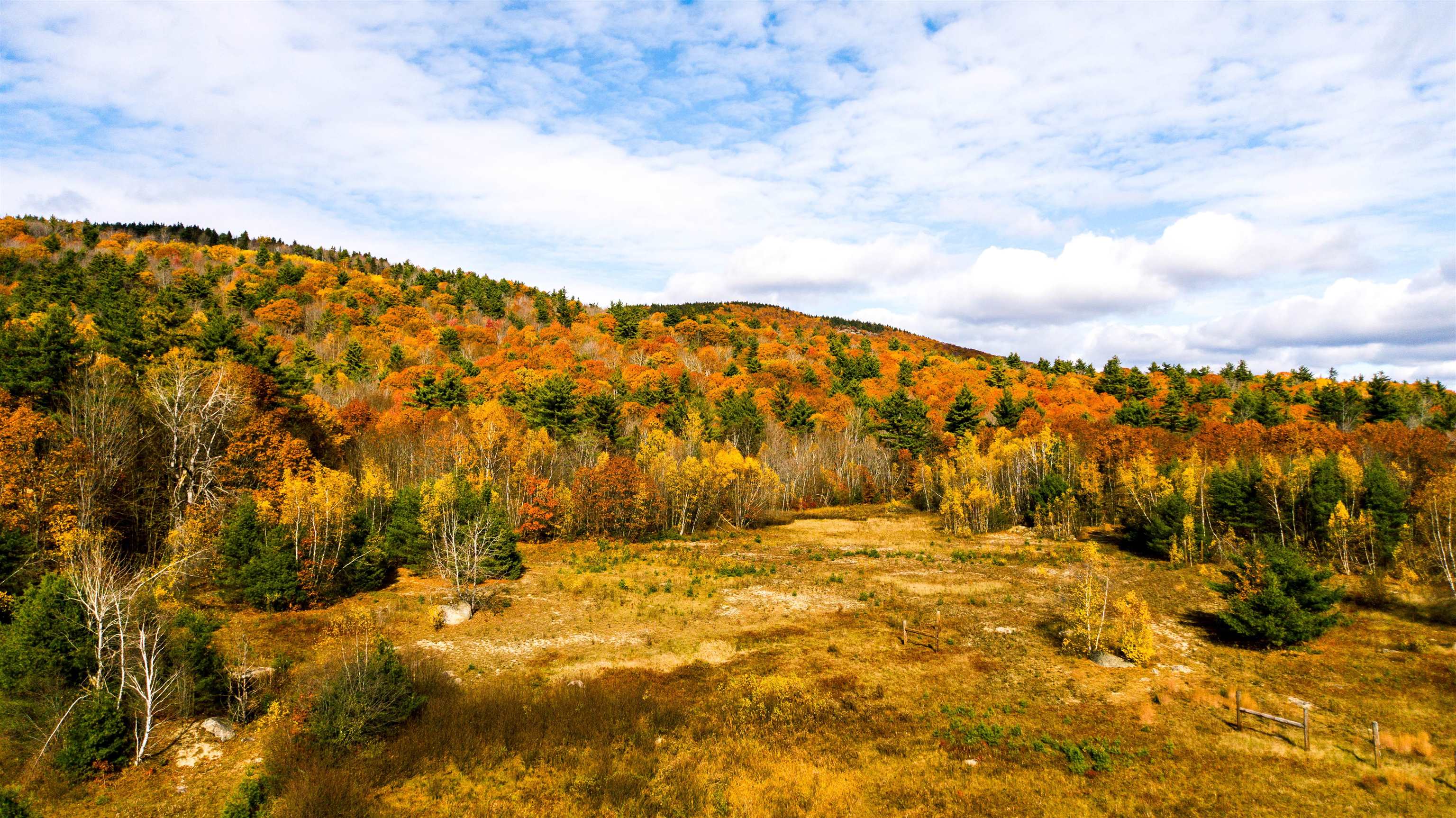 000 Willard Pond Road