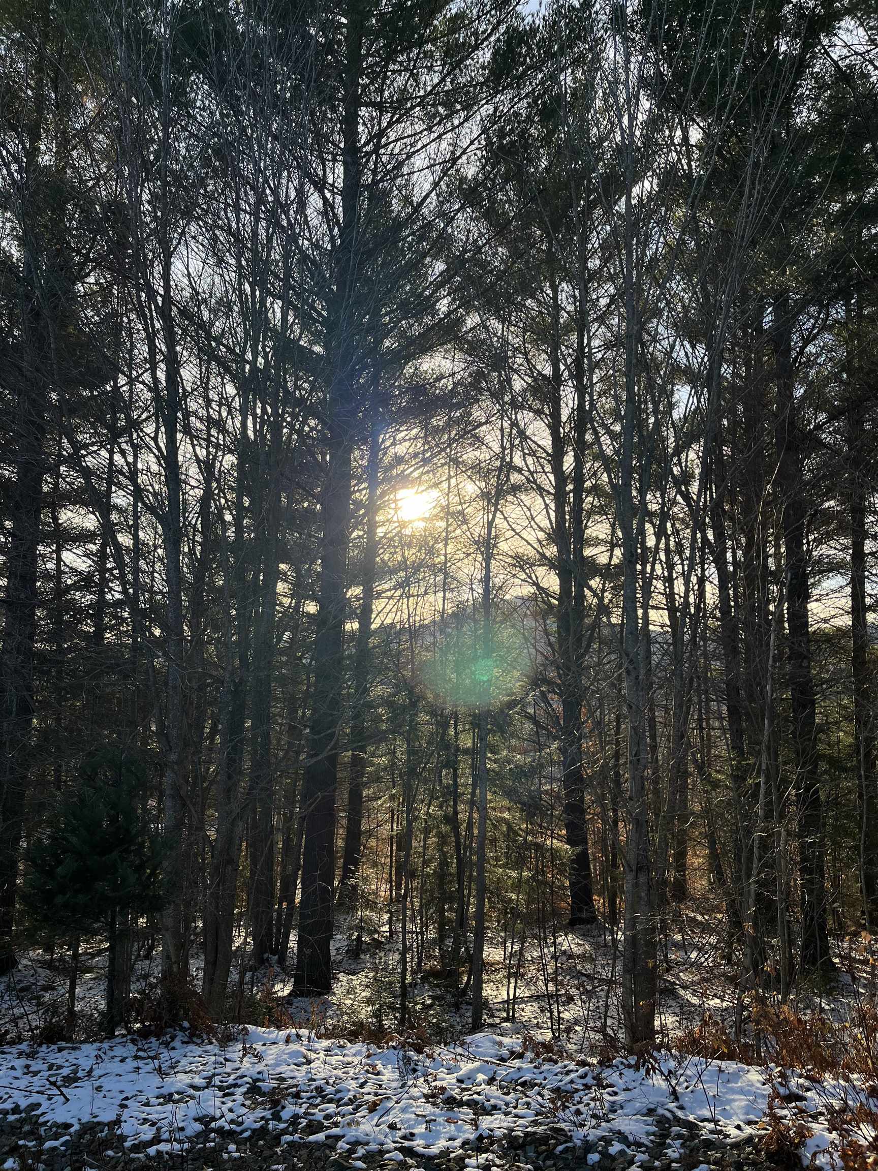 114 US route 3 Route