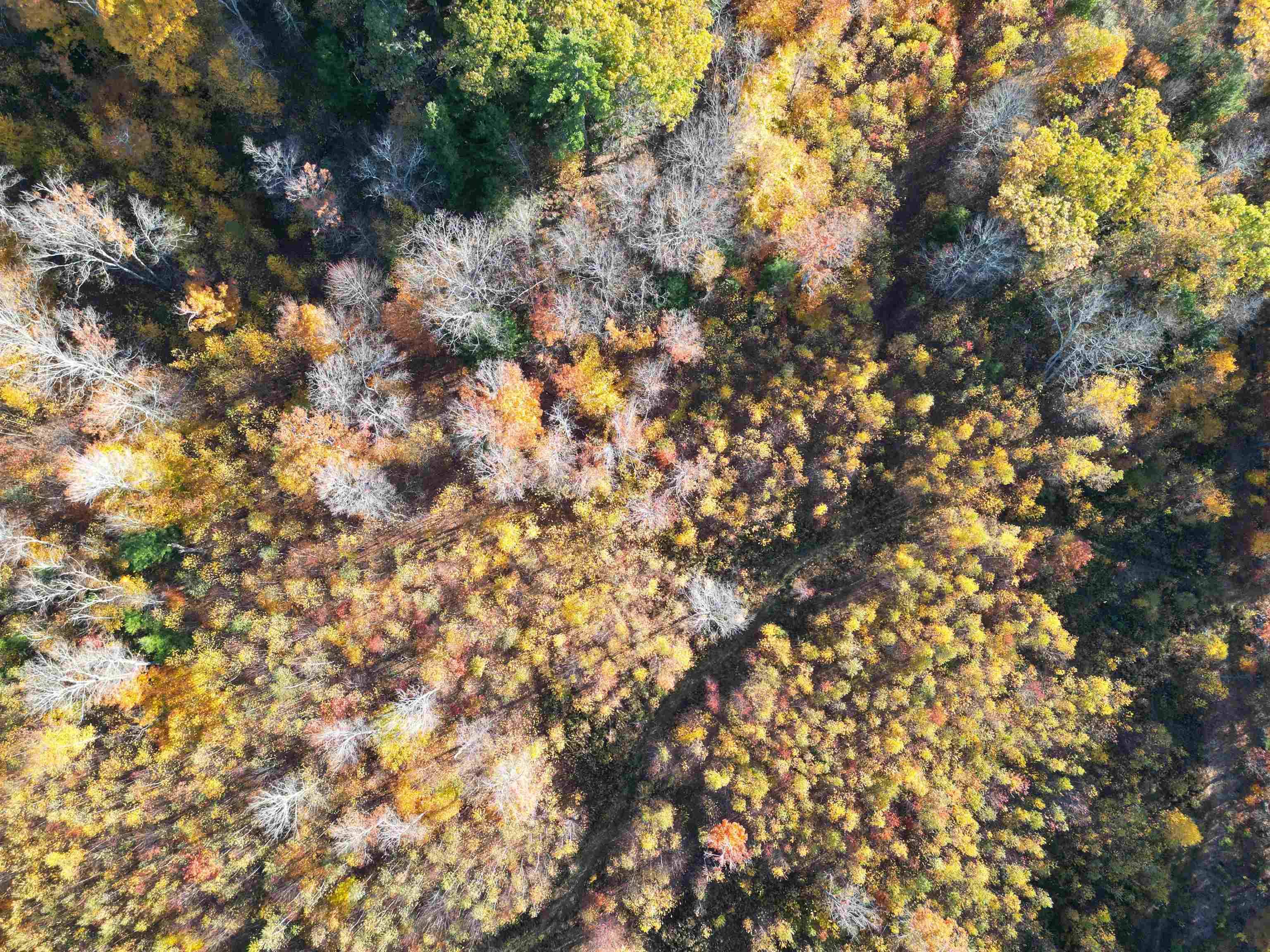 000 Black North Road