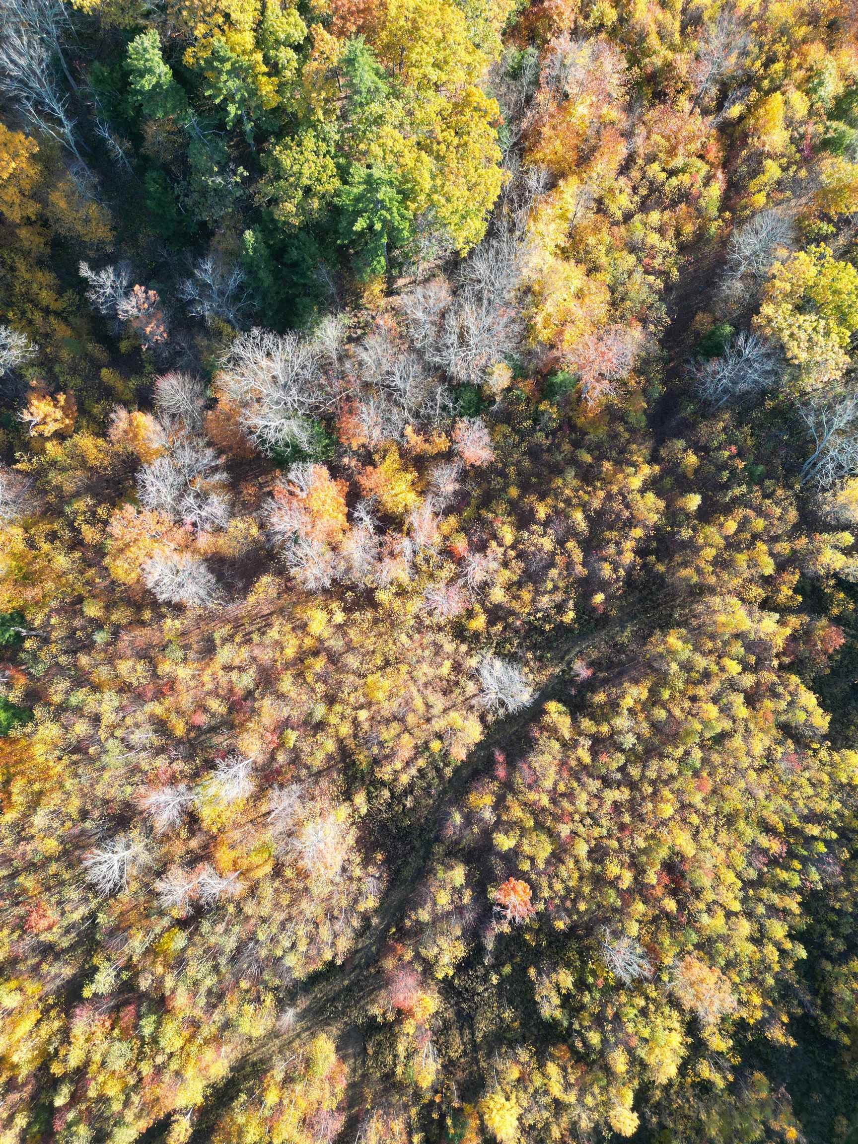 000 Black North Road