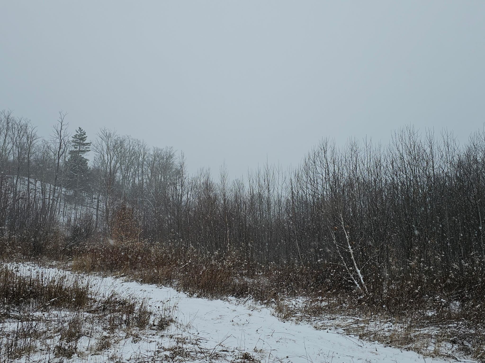 000 Black North Road