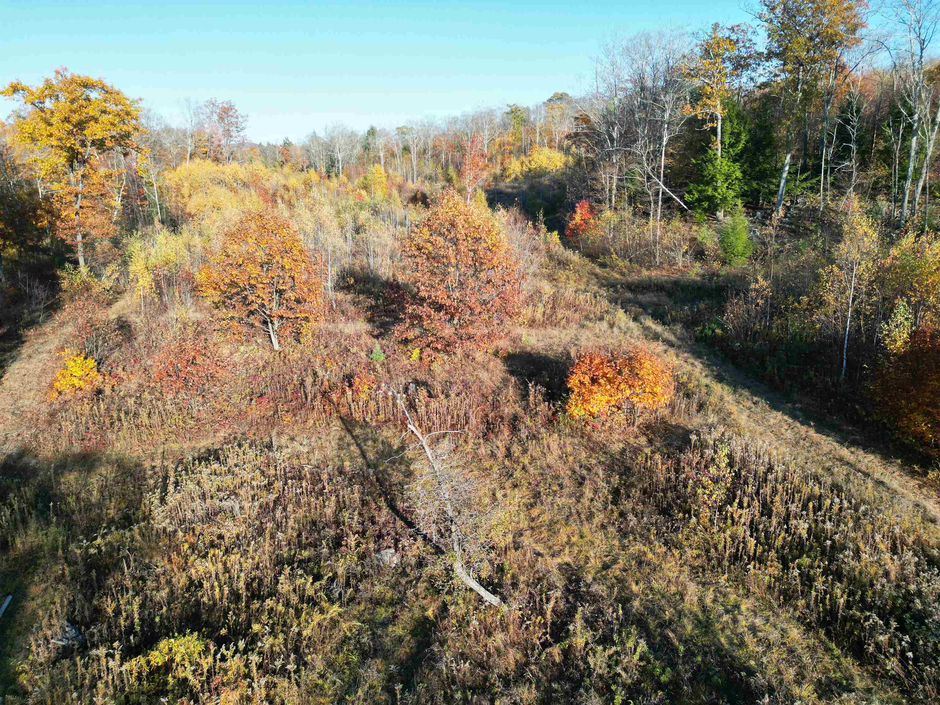 000 Black North Road