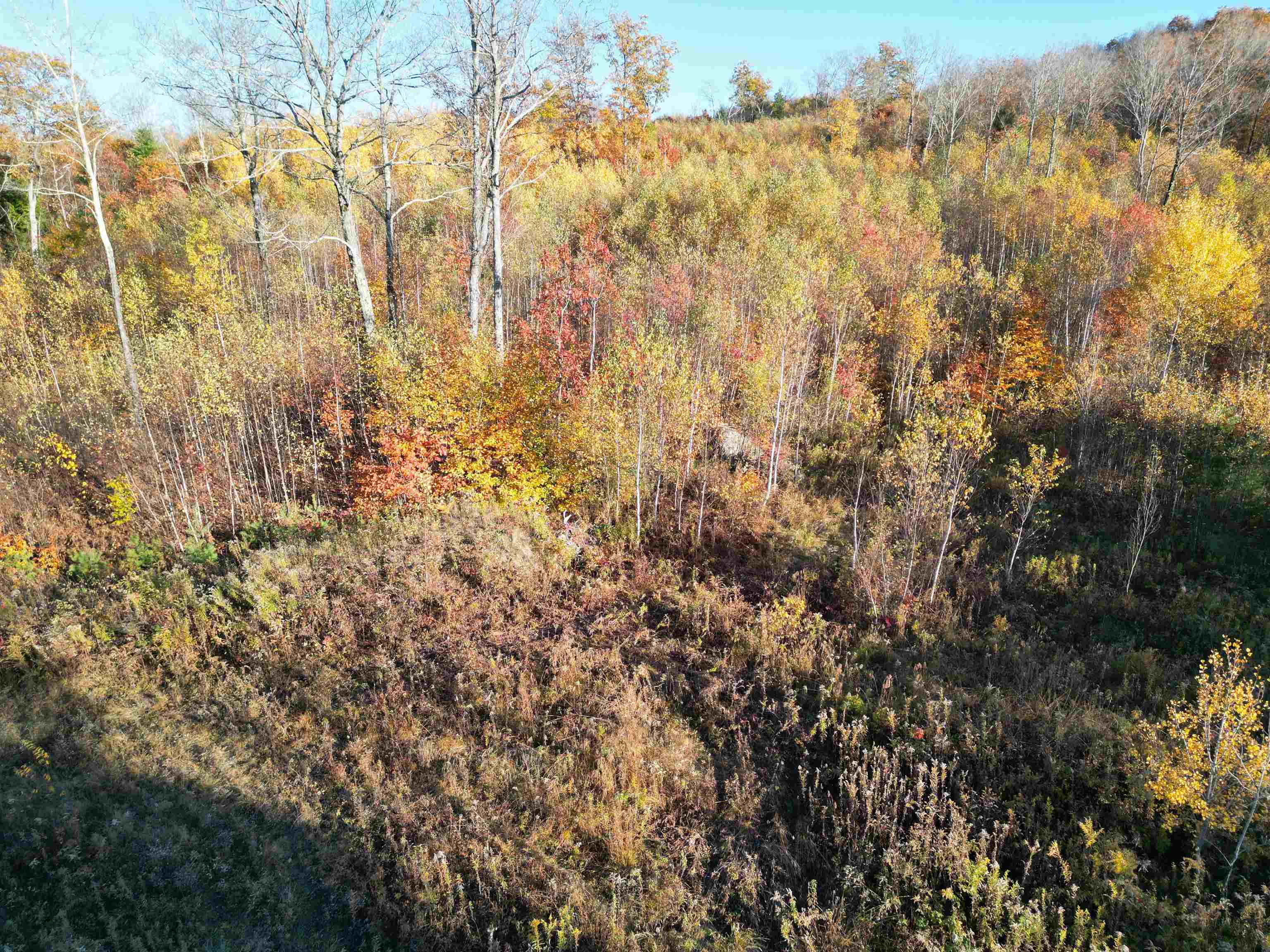 000 Black North Road