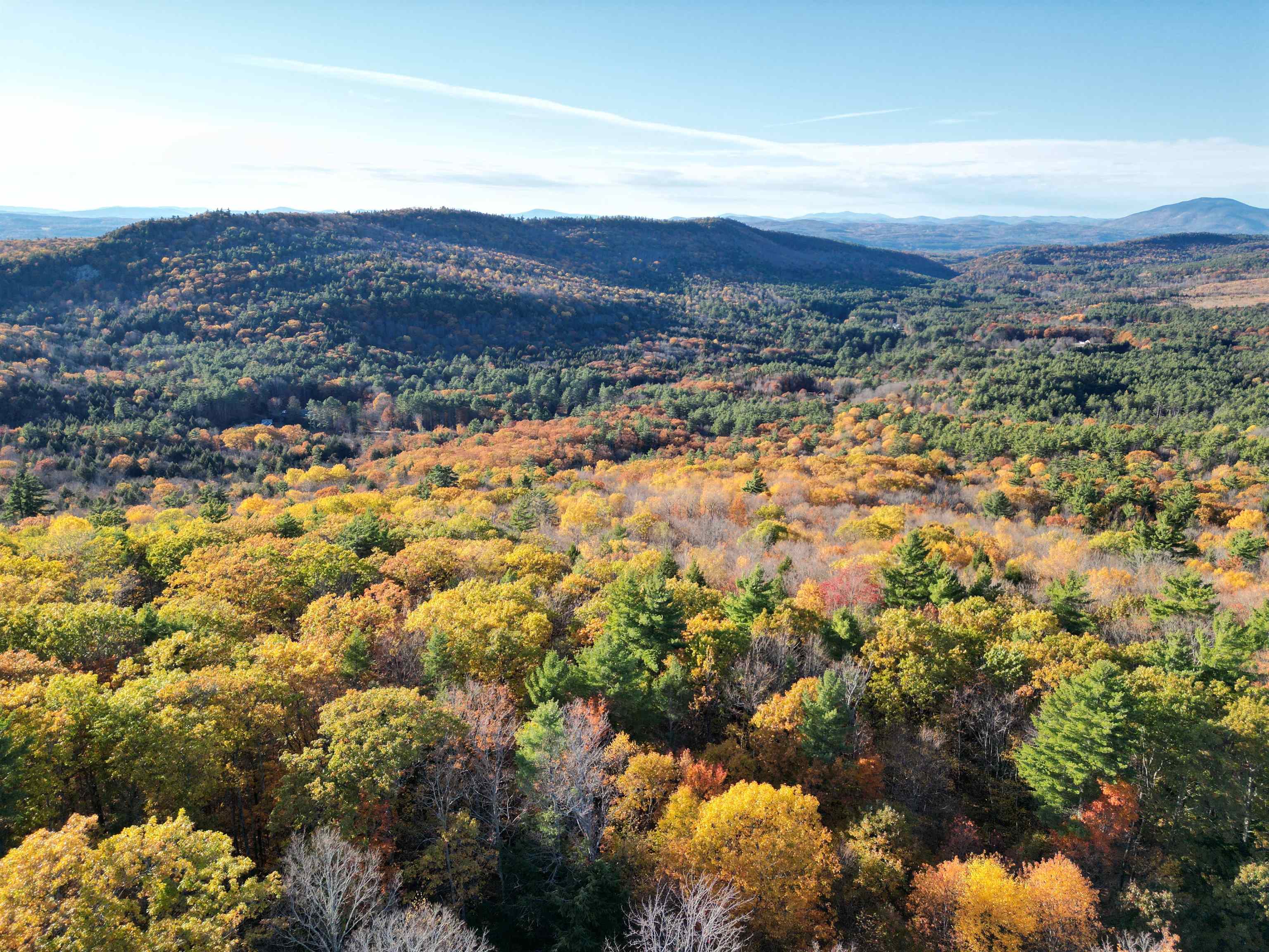 000 Black North Road