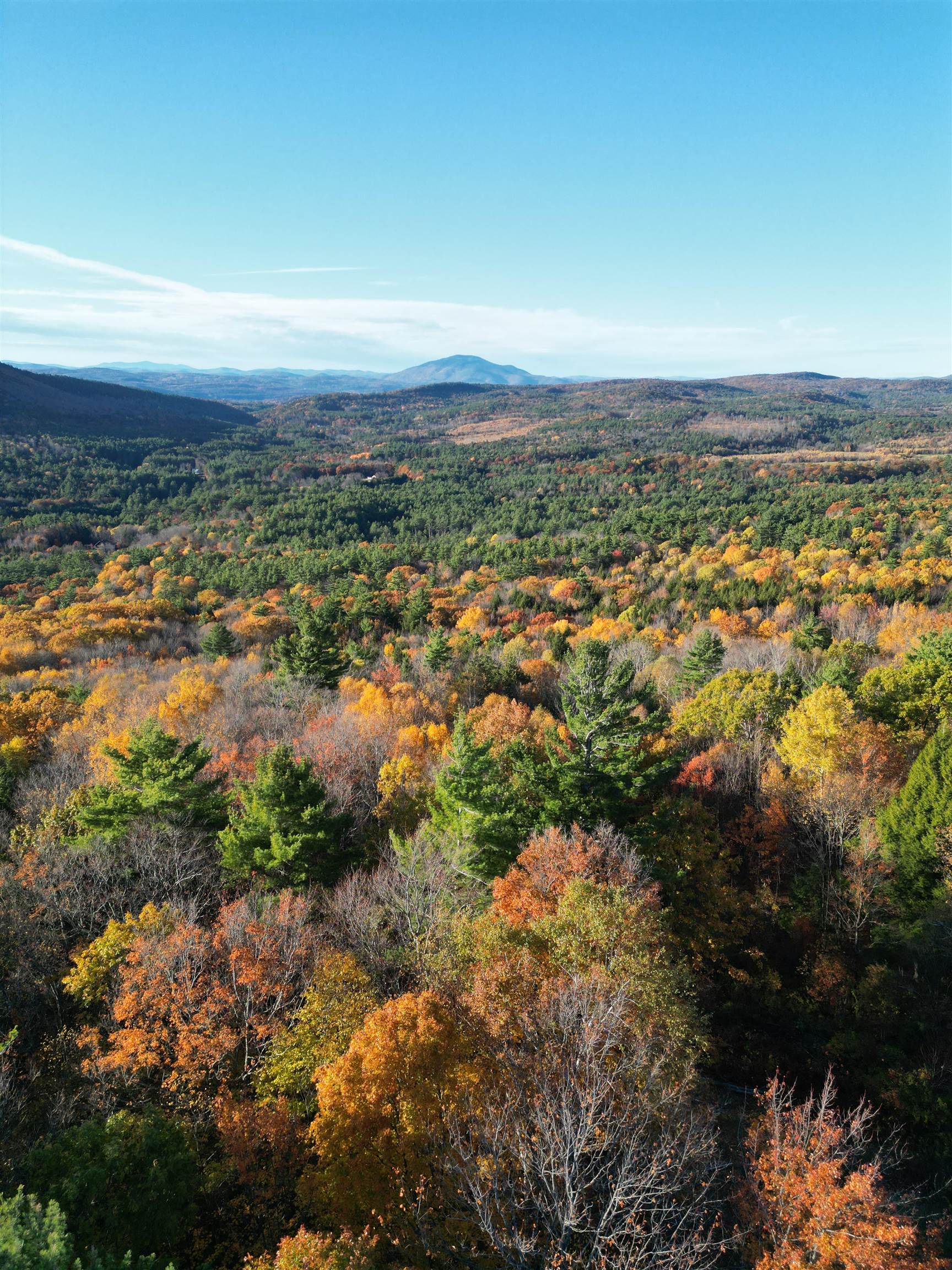 000 Black North Road