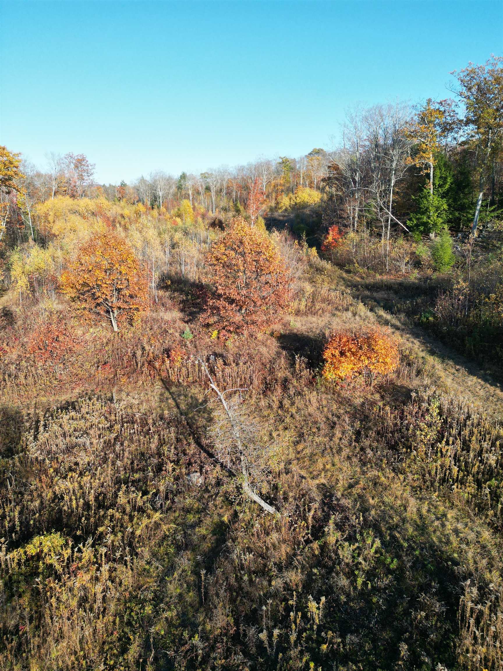 000 Black North Road