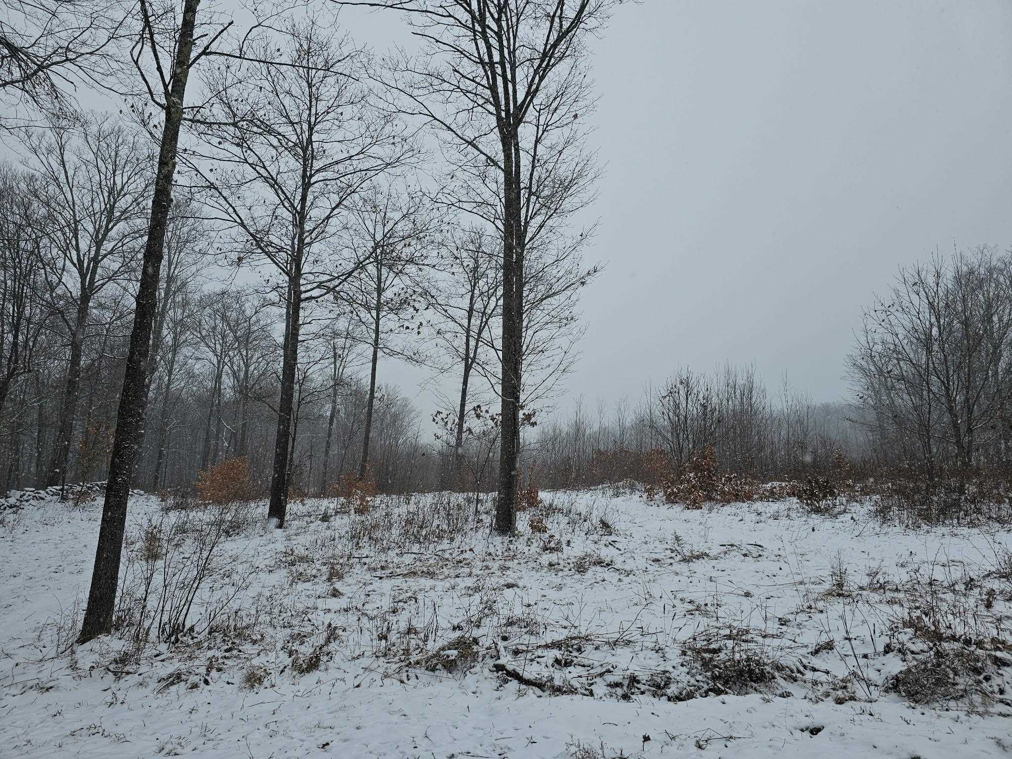 000 Black North Road