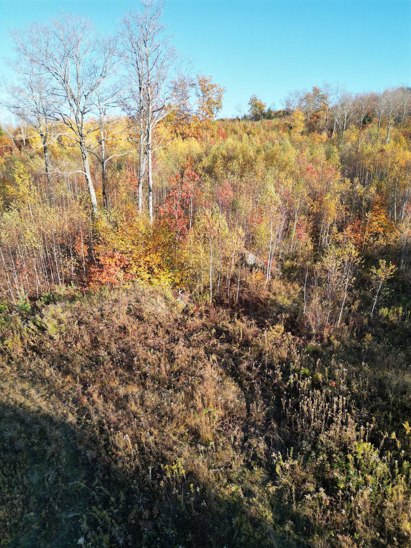 000 Black North Road