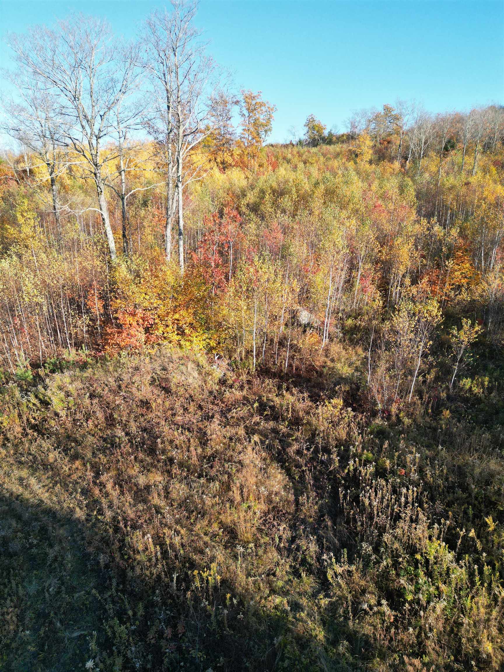 000 Black North Road