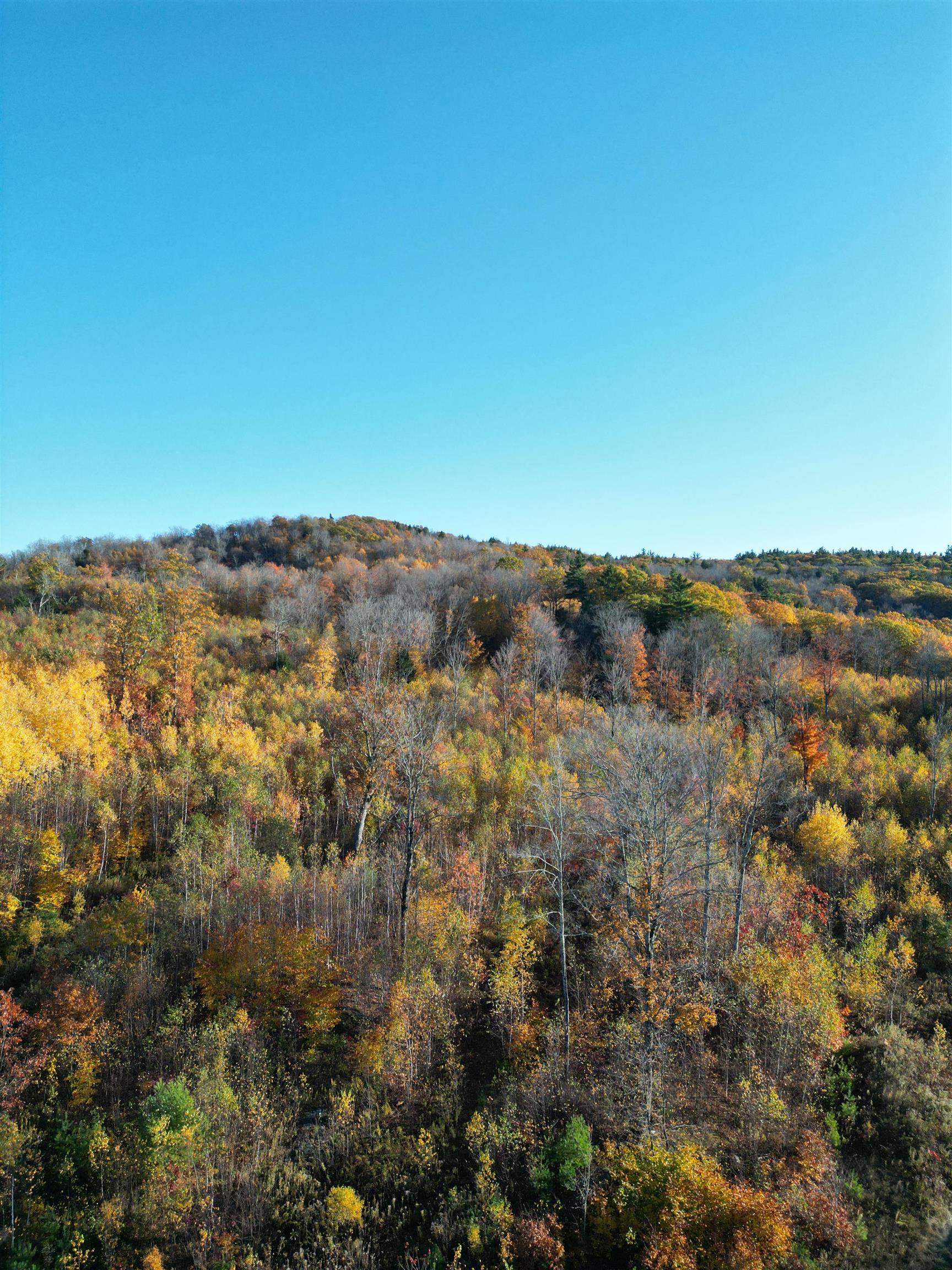 000 Black North Road