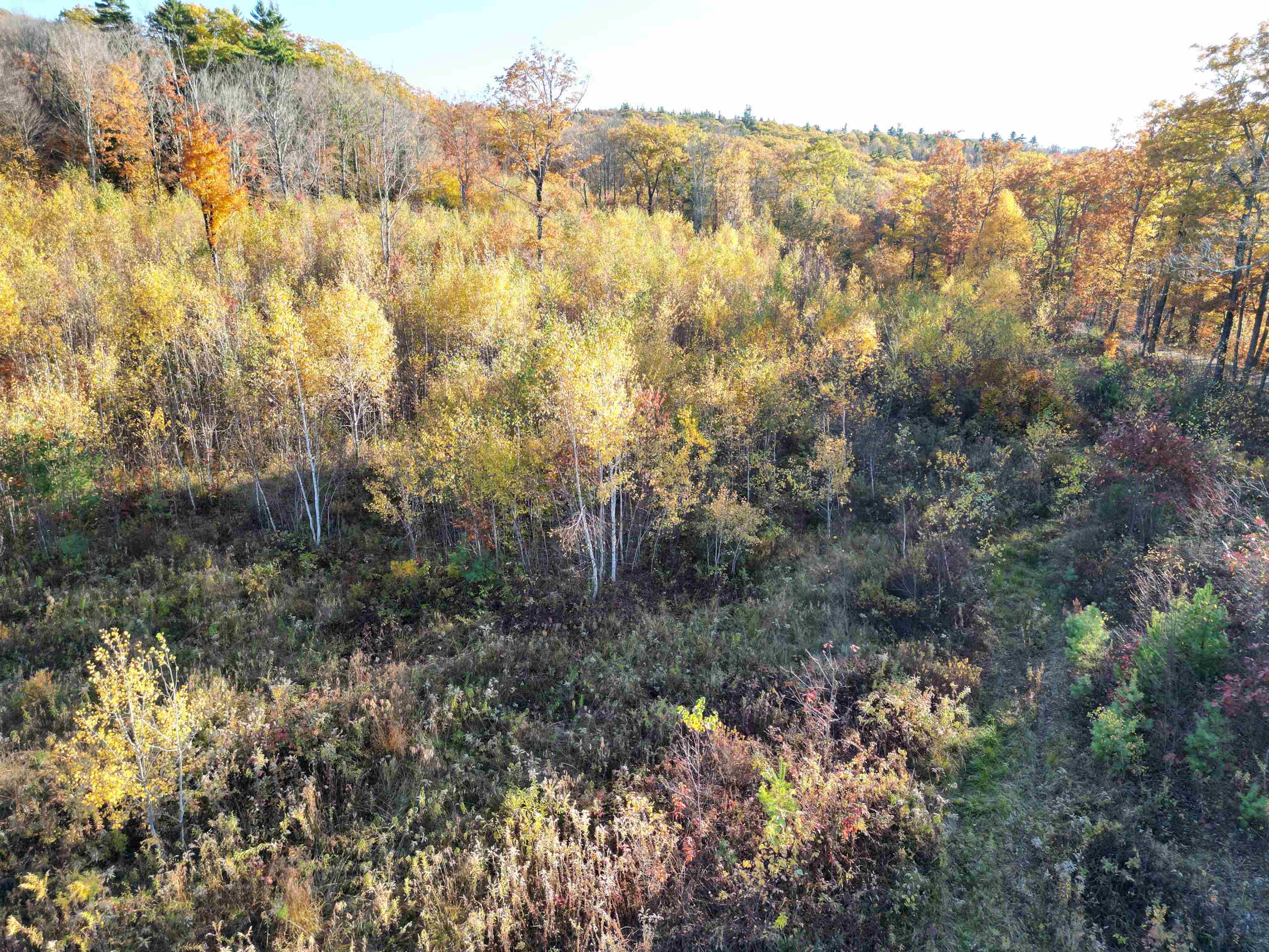 000 Black North Road