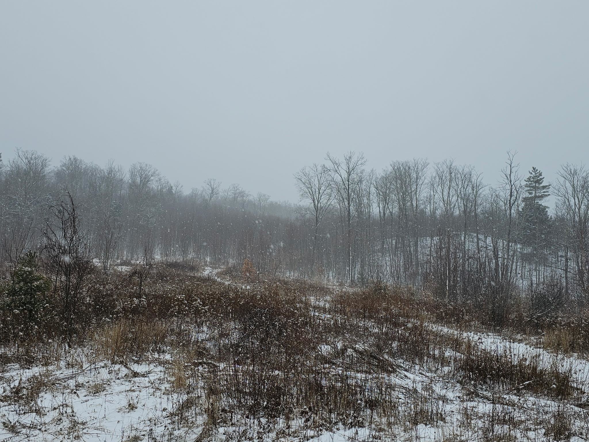 000 Black North Road