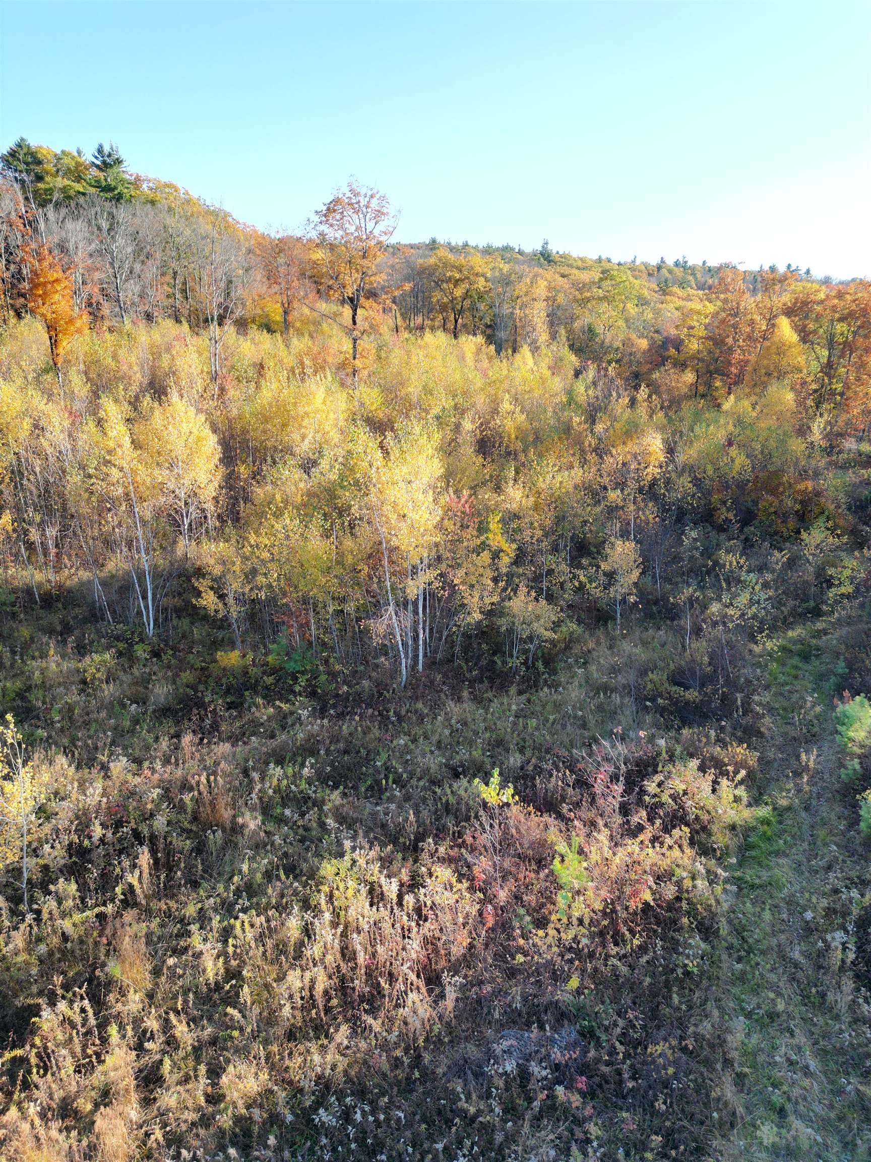 000 Black North Road