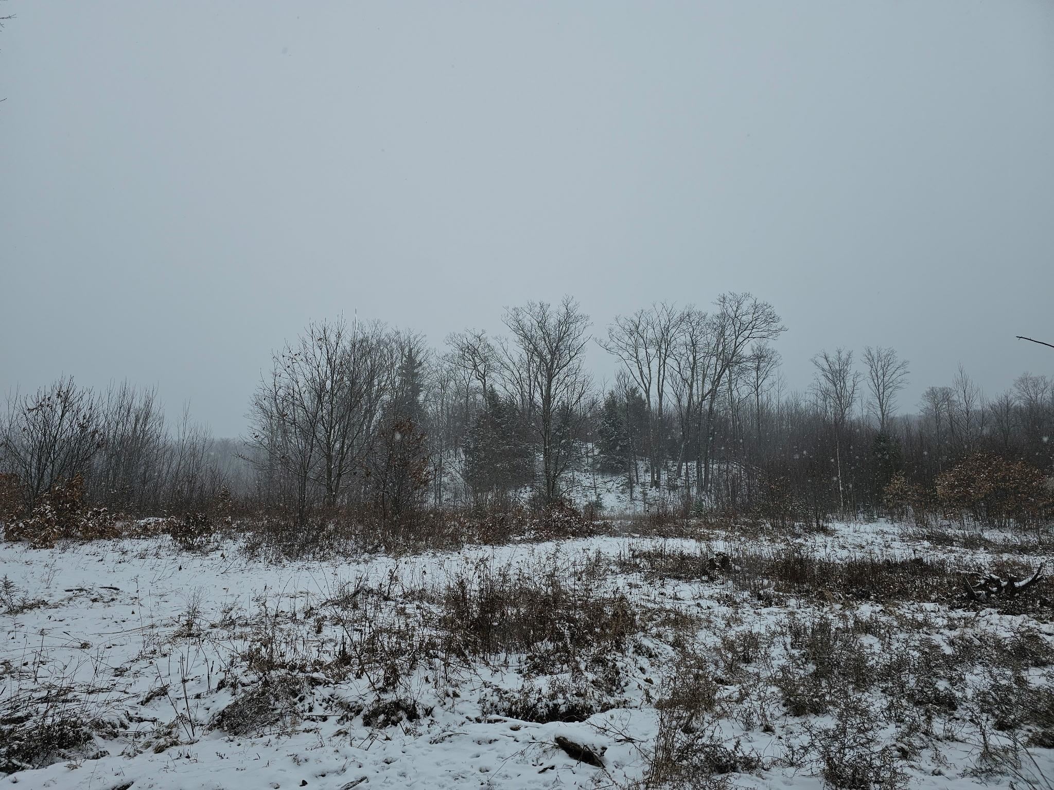 000 Black North Road