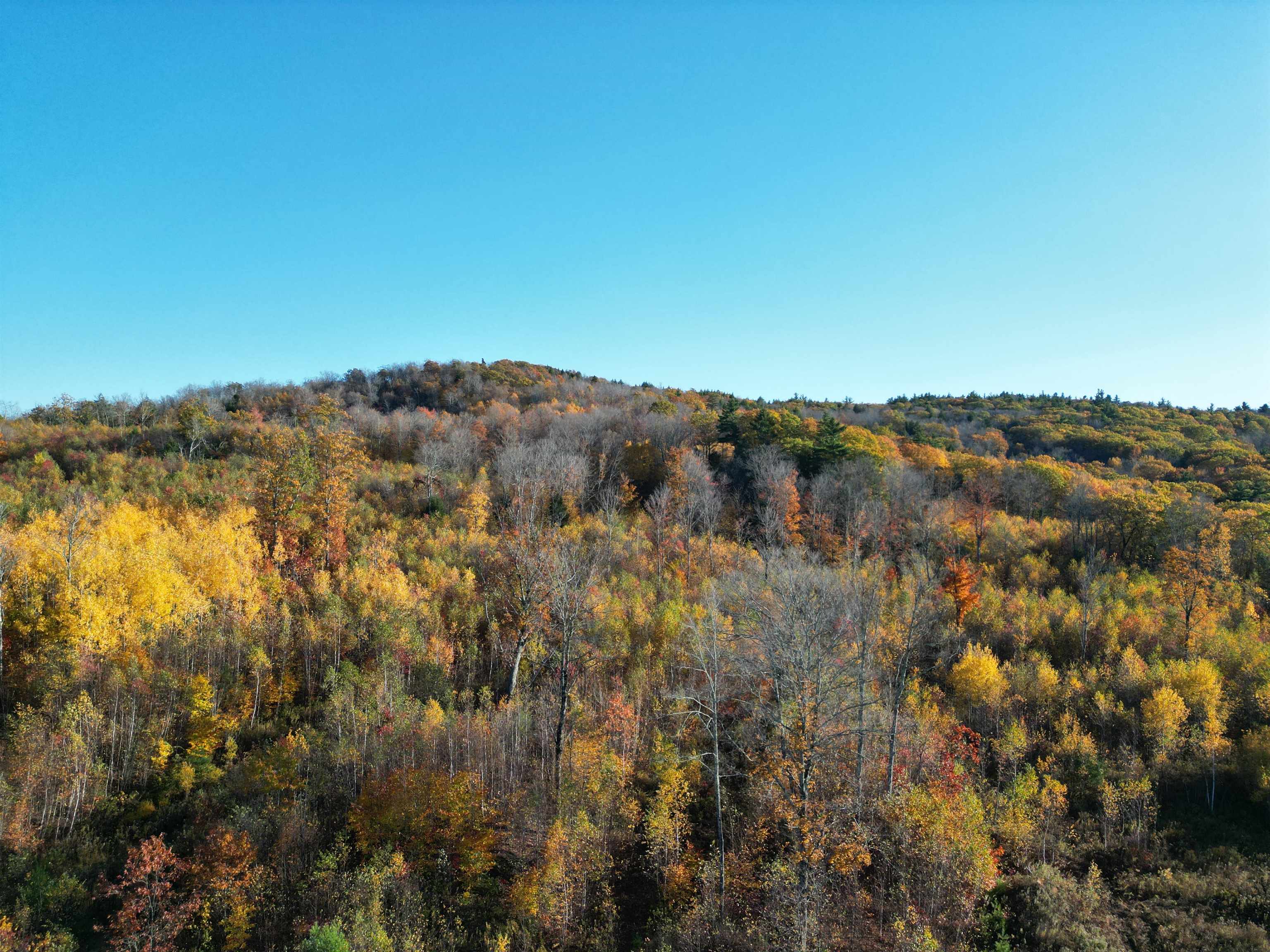 000 Black North Road