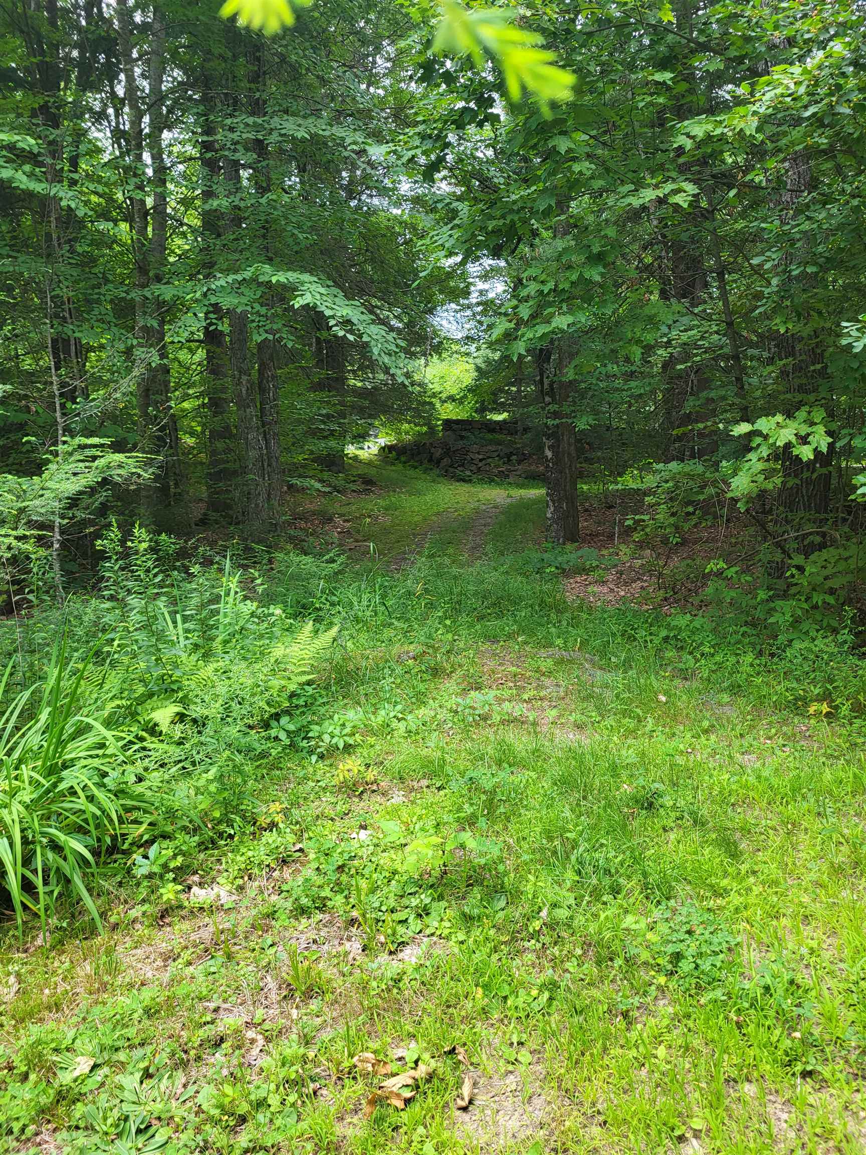 97 Onset Road