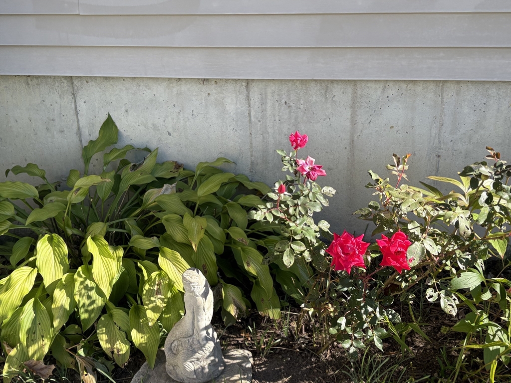 101 Russell Hill Road