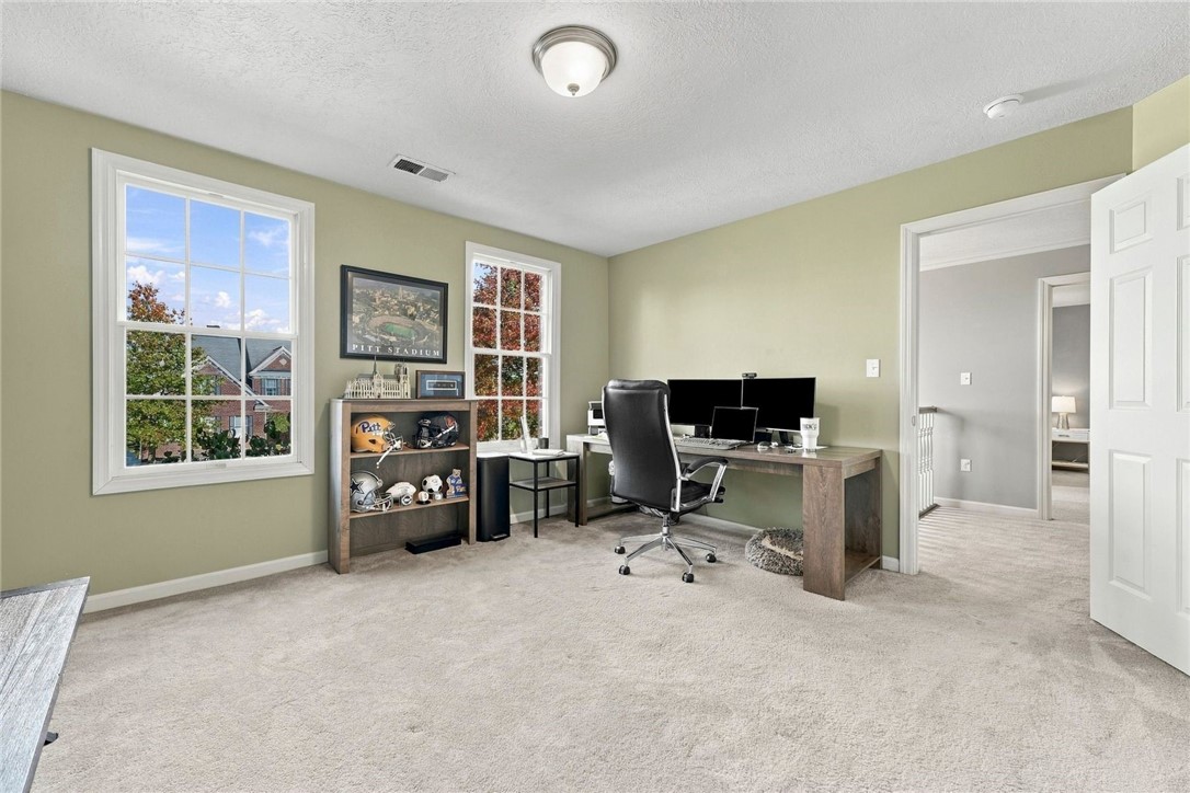 4373 Duckhorn Drive