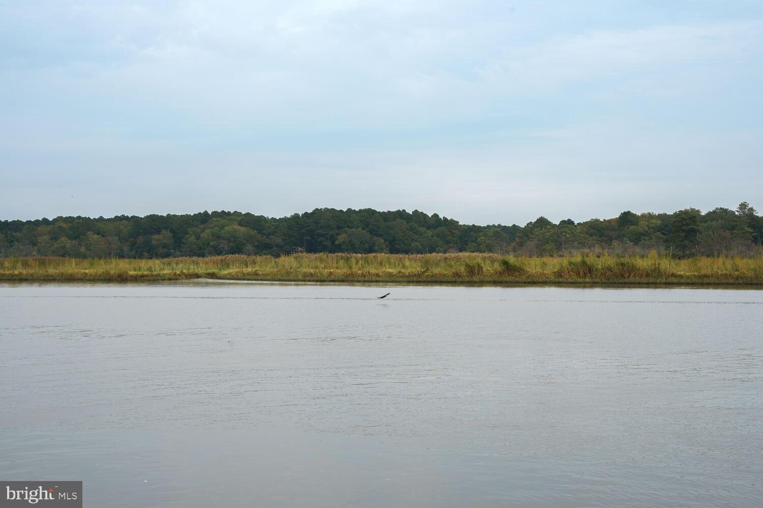 9059 HIGH BANKS DRIVE