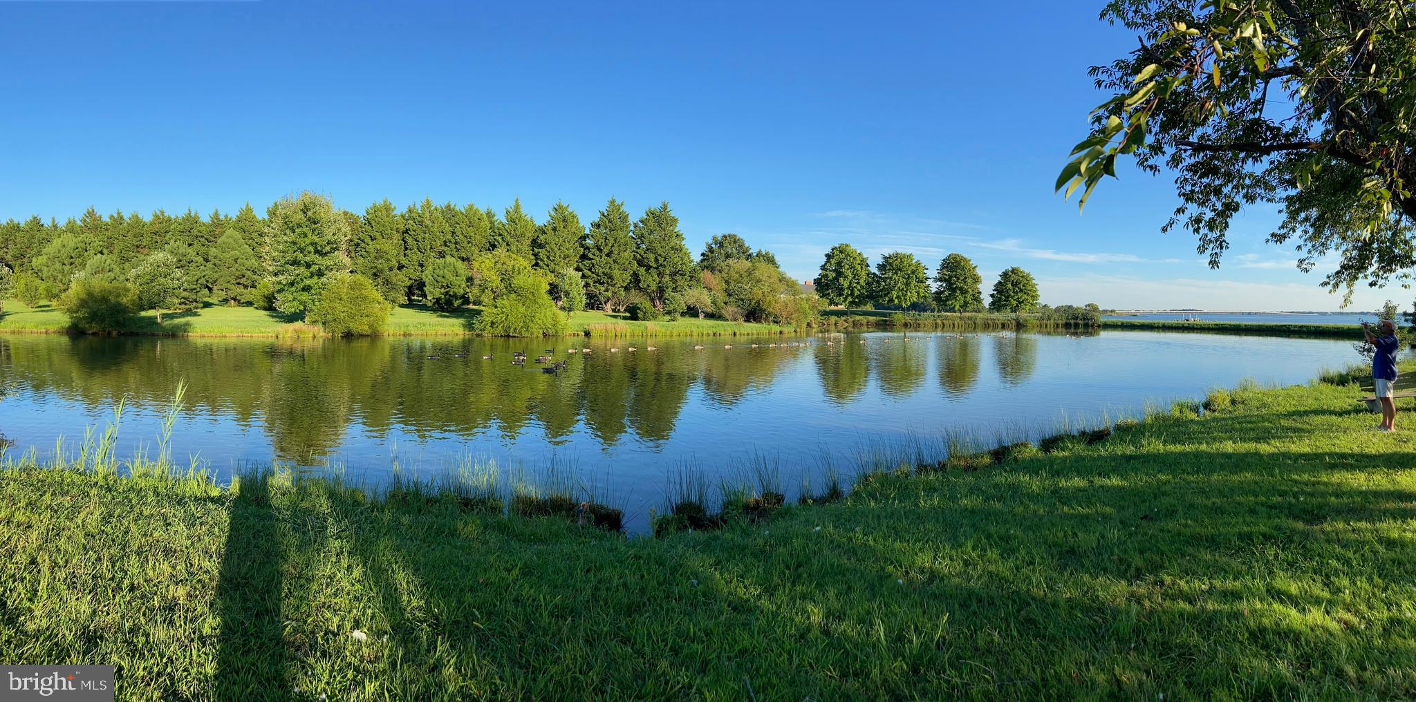 29569 PORPOISE CREEK ROAD