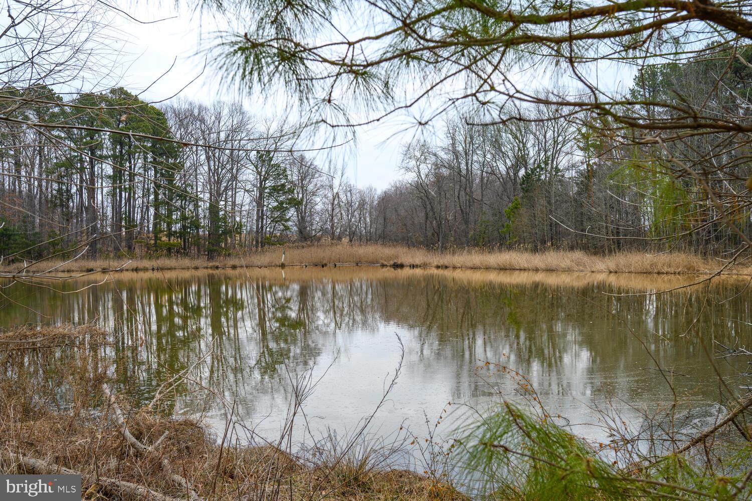 28923 ISLAND CREEK ROAD