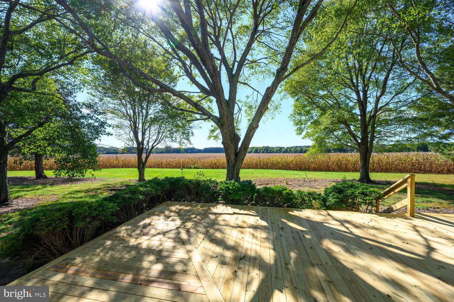 28923 ISLAND CREEK ROAD